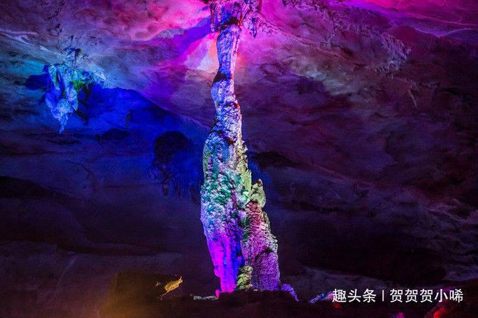 沪江开心词场